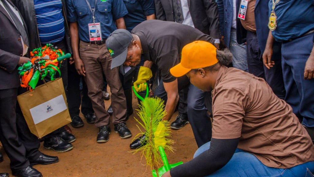 Nitrogen Chemicals of Zambia Industrial Development Corporation (IDC