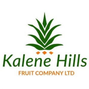Kalene Hills Fruit Company logo