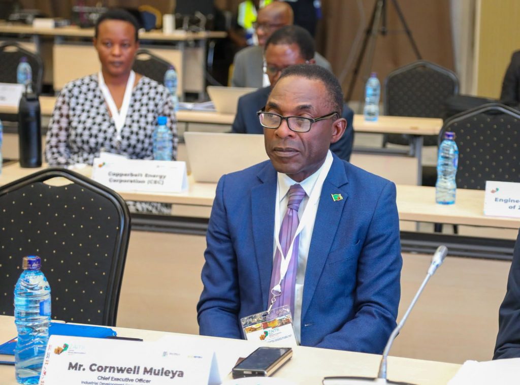 IDC Chief Executive Officer Mr. Cornwell Muleya attends a ZAMII session.